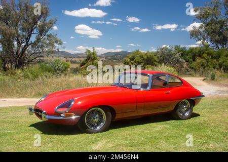 1962 e Type Jaguar FHC auto sportiva in Australia. Foto Stock