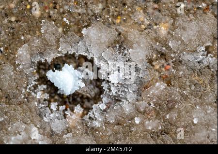 macro vista sopra di un unico sale di roccia ghiacciato su calcestruzzo con uno strato congelato. Foto Stock