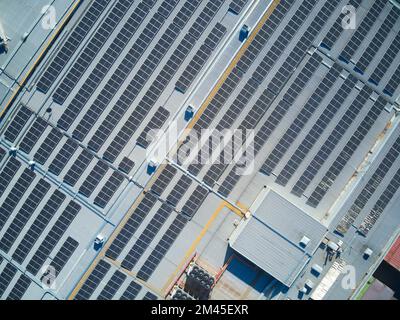 Pannelli solari nell'edificio vista aerea che mostra più pannelli fotovoltaici. Bendigo Victoria Australia. Foto Stock
