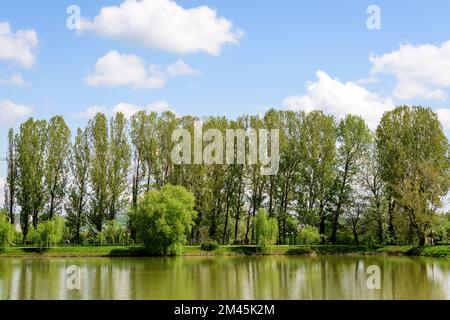 Piccolo lago con un mulino a legna e un'isola dal Parco Chindiei (Parcul Chindiei) a Targoviste, Romania, in una soleggiata giornata primaverile con nuvole bianche e blu Foto Stock