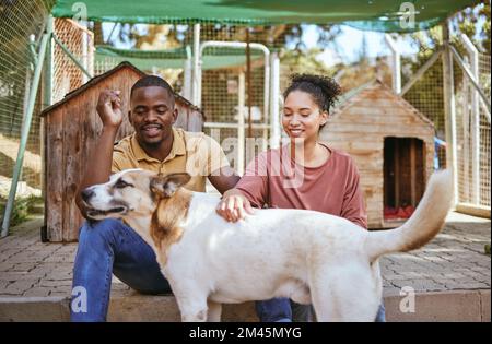 Riparo animale, adozione e cane con una coppia nera accarezzare un canino in un centro di soccorso come volontari. Amore, carità e comunità con un uomo Foto Stock