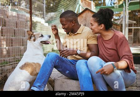 Adozione, coppia e cane da mangiare a veterinario, legame e divertimento. Favorisca la cura, l'amore interrazziale e l'uomo e la donna felici che danno l'alimento dell'animale domestico all'animale Foto Stock