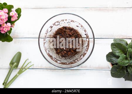 Substrato di cocco pressato gonfio d'acqua in una ciotola rotonda di vetro. Sfondo in legno bianco con vaso di fiori e utensili da giardino. Primo piano, giacitura piatta. La conce Foto Stock