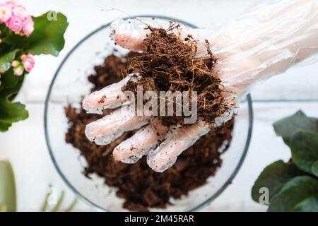 La mano di una donna con i guanti mostra il substrato di cocco nella mano di palmo. Sfondo di legno. Giacitura piatta. Concetto di giardinaggio domestico. Foto Stock