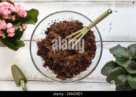 Vista in primo piano della ciotola di vetro con rastrello in substrato di cocco. Sfondo di legno bianco. Giacitura piatta. Il concetto di giardinaggio organico domestico. Foto Stock