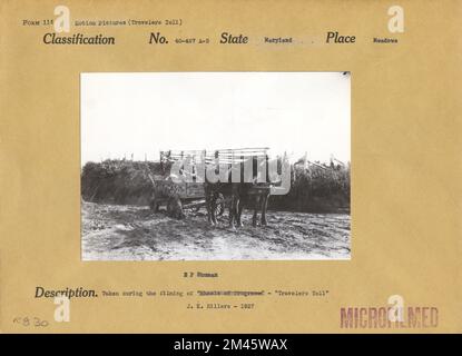 Fotografia scattata durante le riprese di 'Travellers Toll'. Didascalia originale: Ripresa durante le riprese di "Wheels of Progress" - "Travelers Toll." J. K. Hillers - 1927. Stato: Maryland luogo: Prati. Foto Stock