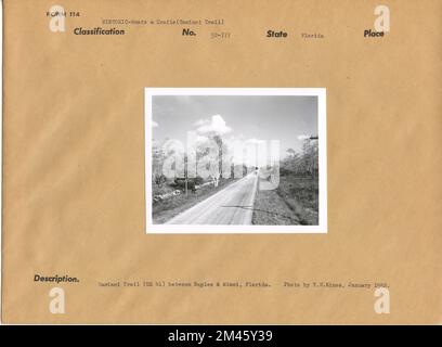 Tamiami Trail (US 41) tra Napoli e Miami, Florida. Didascalia originale: Tamiami Trail (US 41) tra Napoli e Miami, Florida. Foto di T. W. Kines, gennaio 1952. Stato: Florida. Foto Stock