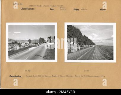 Tamiami Trail (US 41) tra Napoli e Miami, Florida. Didascalia originale: Tamiami Trail (US 41) tra Napoli e Miami, Florida. Foto di T. W. Kines, gennaio 1952. Stato: Florida. Foto Stock