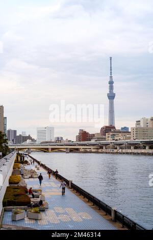 Una foto verticale della torre dello Skytree di Tokyo vista dalla sponda opposta del Fiume Sumida Foto Stock