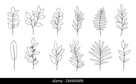 Contorno boho albero, eucalipto foglia set. Una linea continua arte decorativa foglie di pianta. Eucalipto pucente, felce, salale, fogliame di oliva elemento floreale modificabile. Illustrazione del vettore isolato Illustrazione Vettoriale