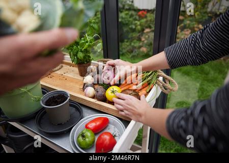 Mani tenendo le verdure Foto Stock