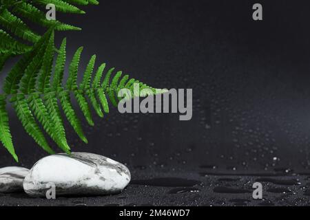 Concetto spa di sfondo. Pietre di sale e verdi foglie di felce tropicali su sfondo scuro con gocce d'acqua. Il concetto di cura del corpo e relax, tre Foto Stock