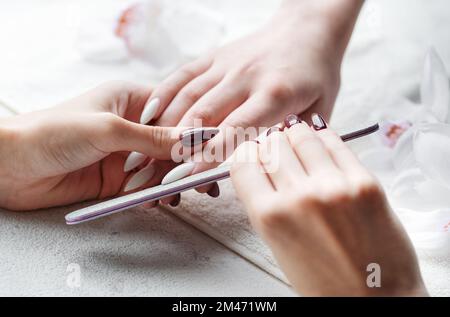 Belle mani di una giovane donna con manicure bianca sulle unghie. Processo di manicure. Foto Stock