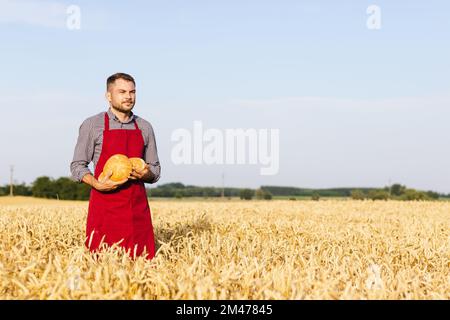 Fiero panettiere in piedi in un campo di grano e tenendo pani di pane nelle sue mani. Foto Stock