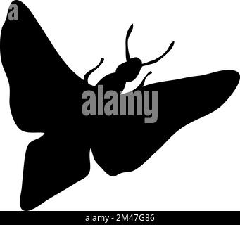 Silhouette di mooth. Dettaglio del primo piano della Moth. Icona di moth vettoriale su sfondo bianco. Illustrazione Vettoriale