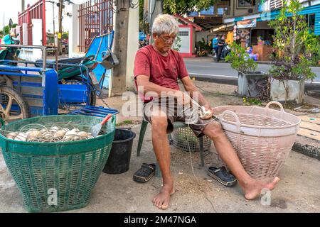 Chonburi, Thailandia, 28 novembre 2022: Un pescatore raschia i barnacoli dalle conchiglie. Sono usati come esca per la cattura di anfiboctopus. Foto Stock