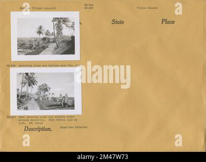 Spandimento superficie miscela vegetale; preparazione della superficie miscela vegetale a mano. Didascalia originale: 48-448: Superficie di mescola di piante di Spreaading vicino a sta. 135. Didascalia originale: 48-449: Medicazione a mano superficie miscela di piante dopo la spalmatura della macchina. Annotare la linea della stringa a sinistra. Stato: Isole Vergini. Località: St. Croix. Foto Stock