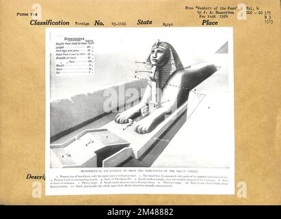 Scavo ipotetico per mostrare le dimensioni della Grande Sfinge. Didascalia originale: Hipotetical Excavation to Show the Dimensions of the Great Sphinx from 'Wonders of the Past' di JA Hammerton, New York 1924. Stato: Egitto. Foto Stock
