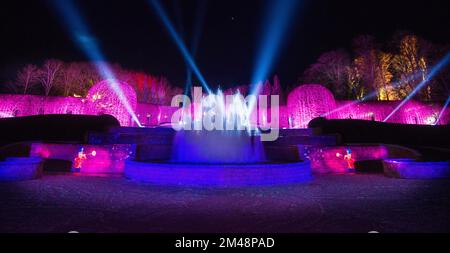 Luci di Natale all'Alnwick Garden Winter Light Trail, Alnwick, Northumberland, Inghilterra, Regno Unito Foto Stock