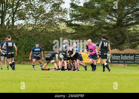 Berwick mischia passa il pallone dal retro della mischia durante la partita di rugby del club Berwick contro Howe del club di rugby Fife Mens Foto Stock