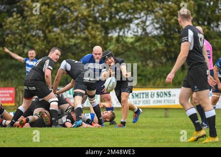 Berwick mischia passa il pallone dal retro della mischia al club di rugby Berwick contro Howe del club di rugby Fife Mens match Foto Stock