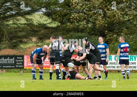 Berwick mischia passa il pallone dal retro della mischia al club di rugby Berwick contro Howe del club di rugby Fife Mens match Foto Stock