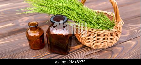 Germogli di cavallo freschi in un cesto raccolto per la preparazione di elisir. Vasetti medici con tintura di erbe essiccate Foto Stock