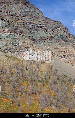 Argillite strati di roccia sedimentaria nelle antiche montagne di Waterton, Canada. Il colore rosso è di ferro ossidato e il verde di ferro non ossidato Foto Stock