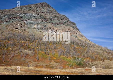 Argillite strati di roccia sedimentaria nelle antiche montagne di Waterton, Canada. Il colore rosso è di ferro ossidato e il verde di ferro non ossidato Foto Stock