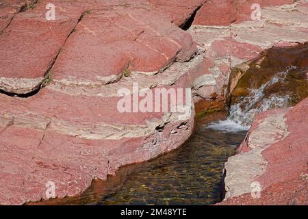 Antica roccia argillitica colorata di rosso da ferro ossidato lungo Bauerman Creek nel Red Rock Canyon, Waterton Lakes National Park, Canada Foto Stock