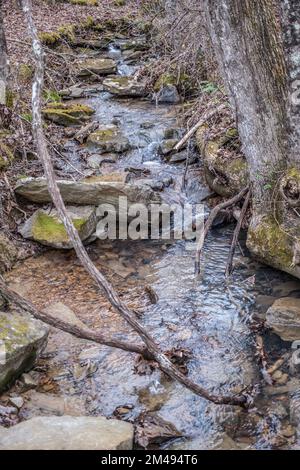 Vista da vicino di un torrente d'acqua dolce che scorre dalla montagna al lago attraverso la foresta con acqua che va sopra e intorno a rocce e massi Foto Stock