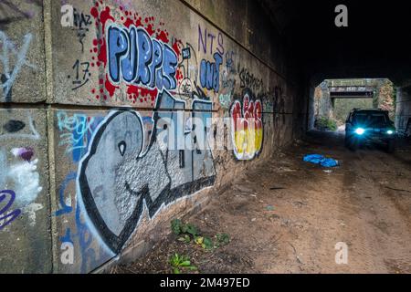 Muro graffiti e volate ribaltando all'interno di un tunnel di strada abbandonato. Foto Stock