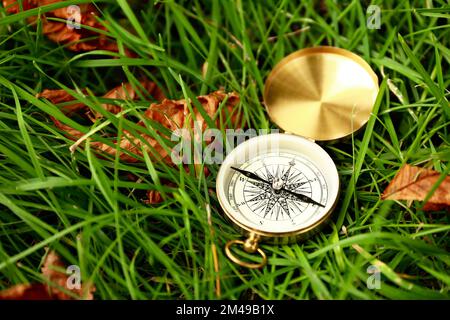 Bussola d'oro e foglie cadute su erba verde Foto Stock