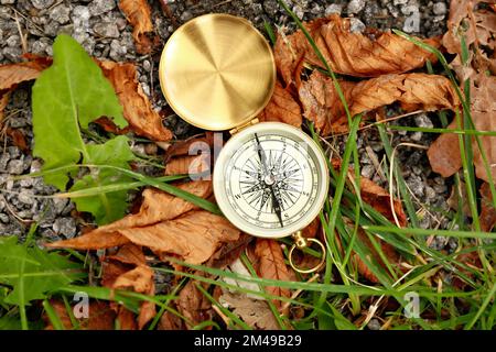 Bussola dorata con foglie cadute e erba verde sulle rocce Foto Stock