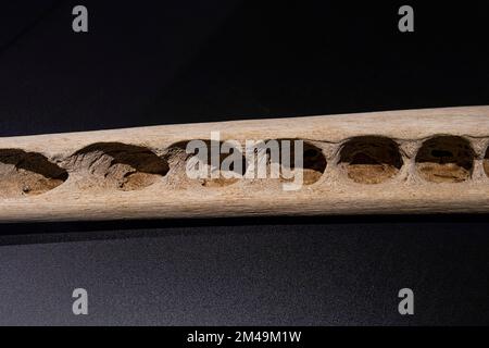 Mandibola inferiore di una balena spermatica (Physeter macrocephalus) (SYN.: Physeter catodon) Museo delle balene a Canical, Isola di Madeira, Portogallo Foto Stock