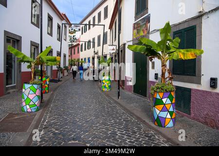 Strade e vicoli accoglienti, Camara de Lobos, Funchal, Isola di Madeira, Portogallo Foto Stock