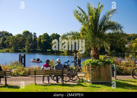 Ciclista sulla pista ciclabile della Valle della Ruhr con palme, bacino idrico, Kettwig, Essen, zona della Ruhr, Renania settentrionale-Vestfalia, Germania Foto Stock