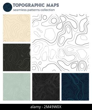 Mappe topografiche. Motivi isolati artistici, design senza cuciture. Elegante sfondo con imbalsini. Illustrazione vettoriale. Illustrazione Vettoriale