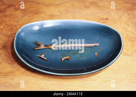 Primo piano della spina dorsale, delle costolette e della coda di pesce del pacifico, perfettamente mangiati, in un piatto da cucina blu. Cibo giapponese sano