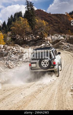 Il SUV bianco sale una strada polverosa nell'altopiano autunnale, verticale Foto Stock