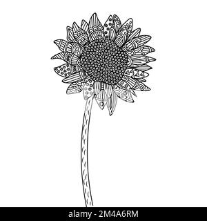 pagina di colorazione girasole zentangle con illustrazione decorativa del disegno dello sfondo floreale Illustrazione Vettoriale