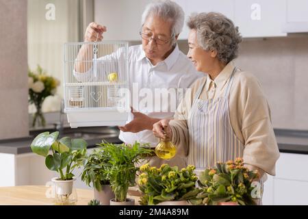 Allegra coppia cinese anziana che si rilassa a casa Foto Stock