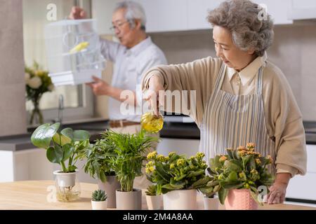 Allegra coppia cinese anziana che si rilassa a casa Foto Stock