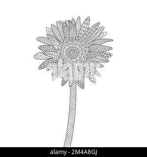 girasole di pagina da colorare zentangle con disegno decorativo di fondo fiore Illustrazione Vettoriale