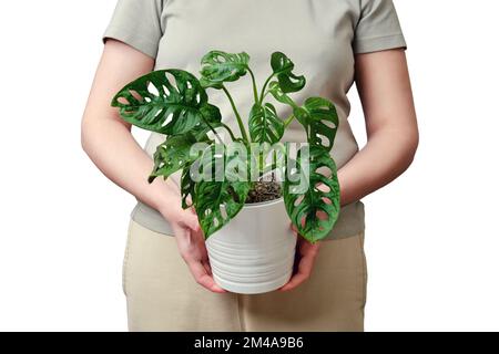 Una donna tiene in mano una pentola con una maschera di scimmia mostera di piante, isolata su uno sfondo bianco Foto Stock