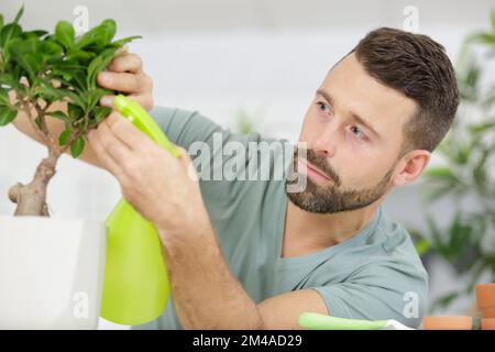 Senior uomo irrigazione foglie di bonsai Foto Stock