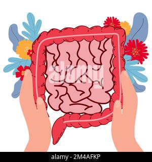 rappresentazione vettoriale piatta dell'intestino tenue e grande. Organo interno umano, tratto digestivo. Illustrazione vettoriale isolata su sfondo bianco. Illustrazione Vettoriale