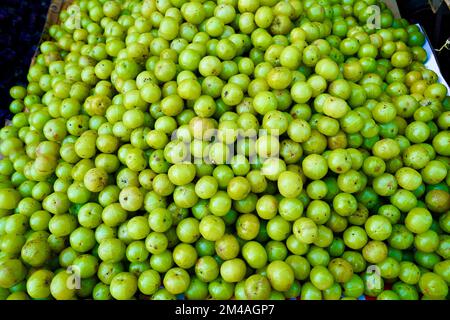 Uva spina indiana che vende sul mercato, uva spina indiana gustosa e sana chiamata AMLA in lingua hindi dell'india, uva spina indiana nel mercato per sal Foto Stock