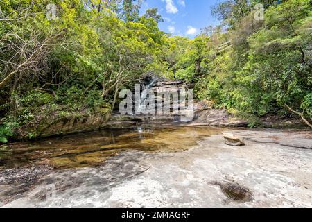 Cascata che si sovrappone alle rocce nella foresta pluviale a Somersby Falls nel nuovo Galles del Sud, Australia Foto Stock