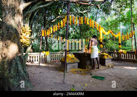 Kolornagerkavu-Mandir, piccolo tempio nascosto nella più fortissima vicino a Perratil, chiuso a Varkala. Luogo per un interessante Kathakali-performace Foto Stock